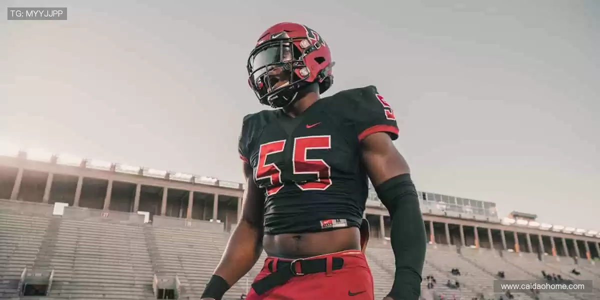 📱多屏同步,随时随地捕捉精彩瞬间!📻